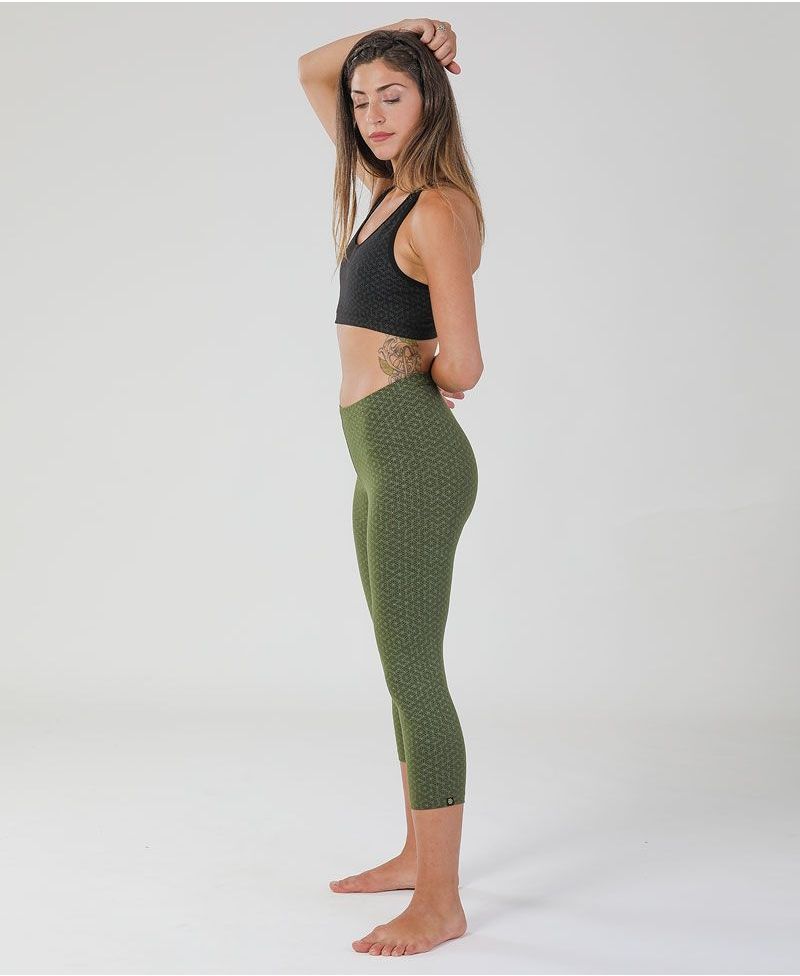 Seeds Leggings ➟ Olive