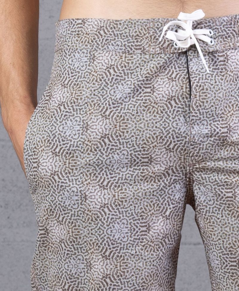 Diploria Boardshorts