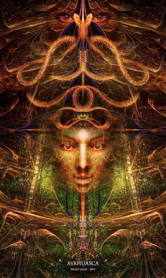 psychedelic-shirt-trance-festival-clothing-sol-seed-of-life-Ayahuasca-Paulo-Jales-2015 psychedelic-shirt-trance-festival-clothing-sol-seed-of-life-Ayahuasca-Paulo-Jales-2015