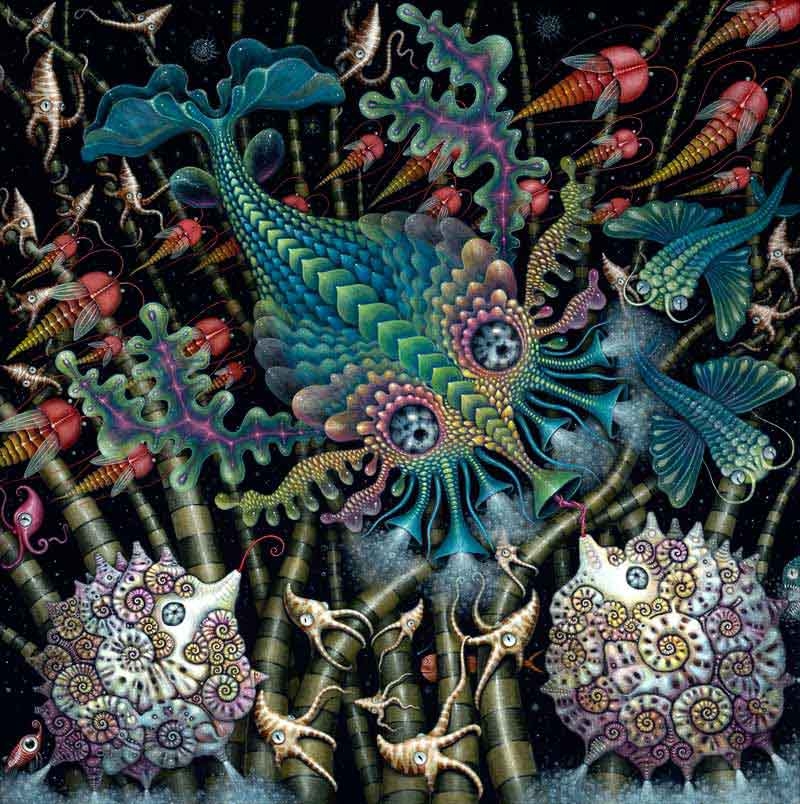 psychedelic-trance-festival-fashion-clothing-psychedelic-rsconnett-blowfish