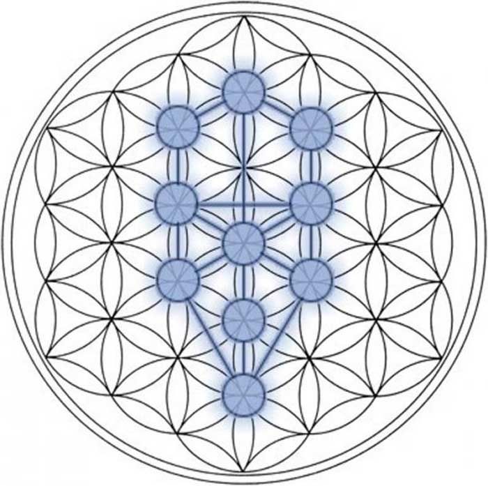 Sacred Geometry And Flower Of Life
