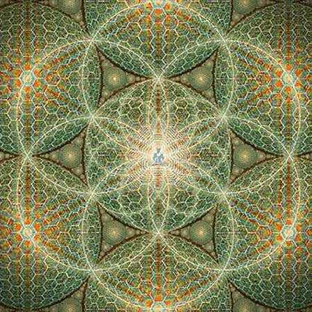 psychedelic-shirt-trance-festival-clothing-sol-seed-of-life-seed-main