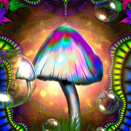 psychedelic-shirt-trance-festival-clothing-sol-seed-of-life-seed-magic-mushrooms psychedelic-shirt-trance-festival-clothing-sol-seed-of-life-seed-magic-mushrooms