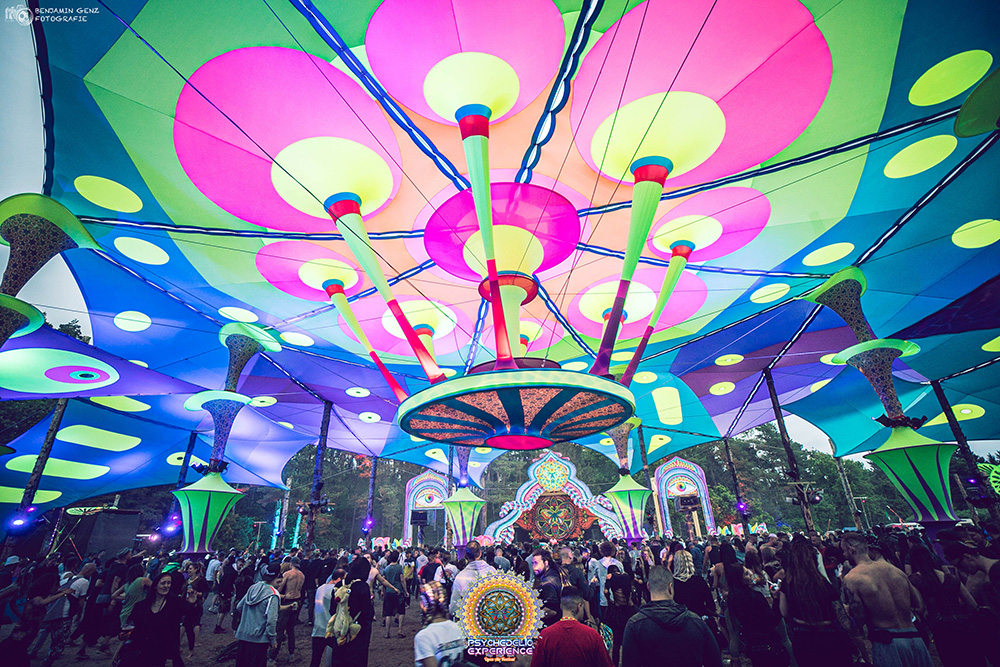 psychedelic experience festival