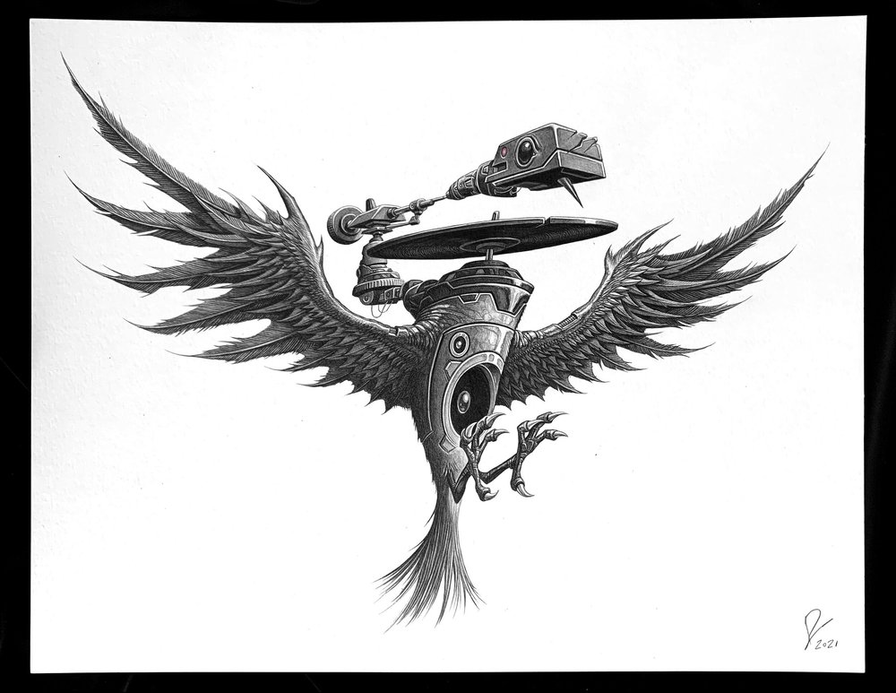 pencil drawing of retrobird