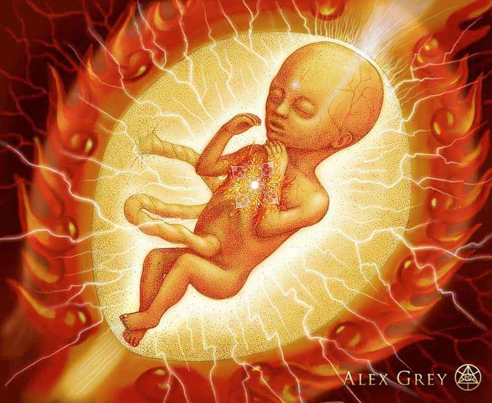 psychedelic-shirt-trance-festival-clothing-sol-seed-of-life-Embryo-by-Alex-Grey psychedelic-shirt-trance-festival-clothing-sol-seed-of-life-Embryo-by-Alex-Grey